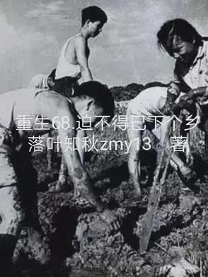 迫不得已下个乡