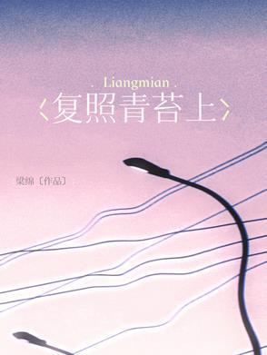 什么景入深林