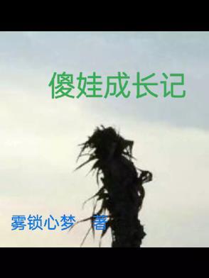 傻小孩txt