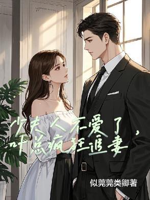 叶少夫人又跑了免费