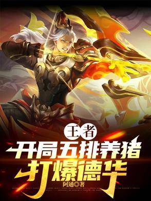 王者荣耀你的英雄台词