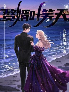 赘婿叶羽
