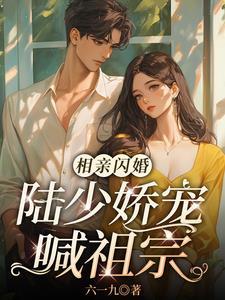 闪婚婚后甜宠文
