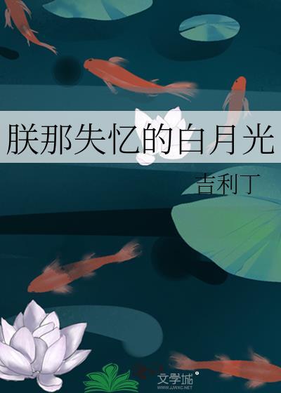 朕那失忆的白月光全文免费阅读