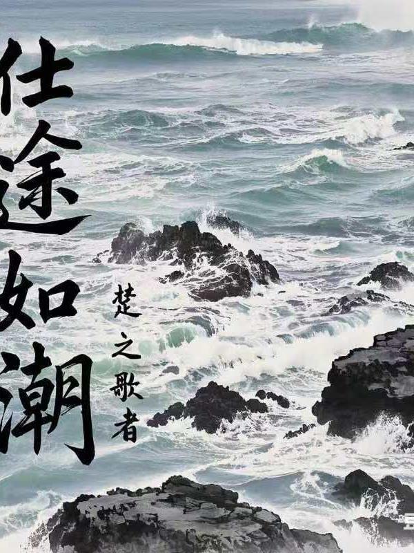 仕途的弄潮儿全集