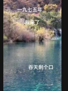 重生一九七五山青水秀小山村