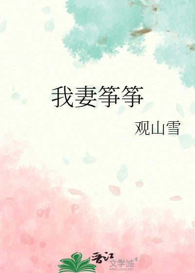 我妻筝筝作者观山雪