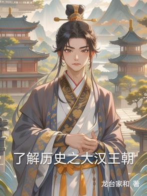 了解历史之大汉王朝的书