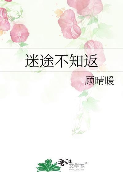 迷途不知返2