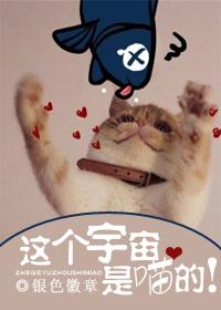 穿越之后来居上 匹萨娘子