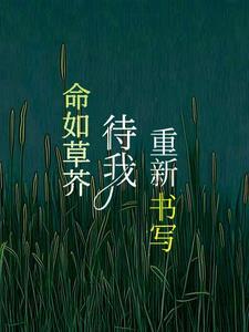 命如草芥sp文
