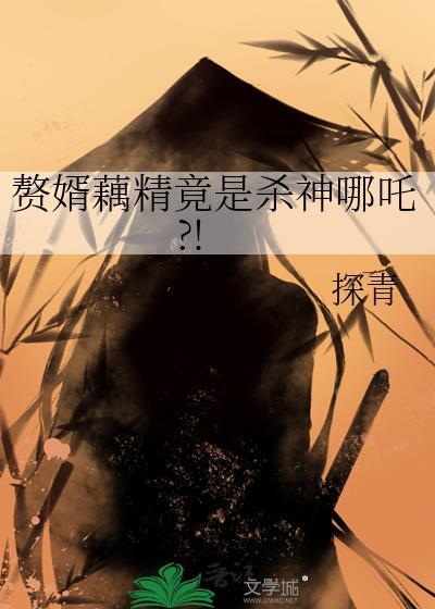 赘婿藕精竟是杀神哪吒大结局
