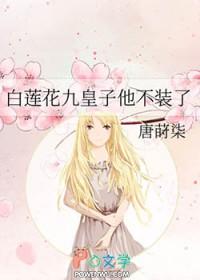 白莲花变黑以后九希
