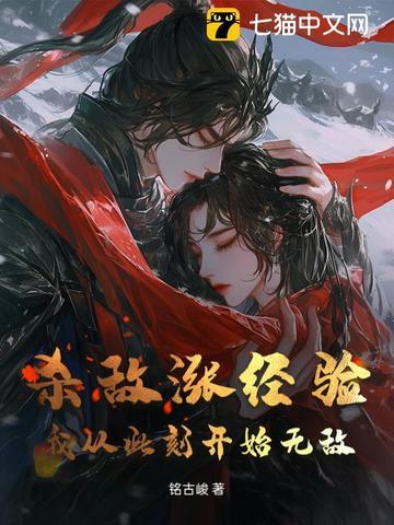杀敌升级类