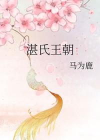 湛氏家族古今志