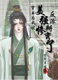 穿书后我被美惨强反派掰弯了晋江