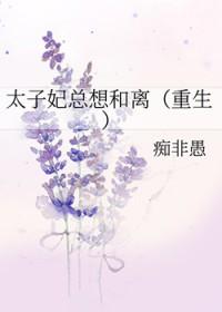 太子妃总想和离(重生)类别重生作者 痴非愚