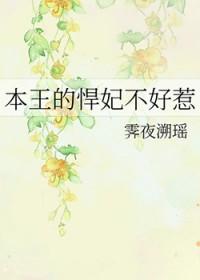 追风捕影
