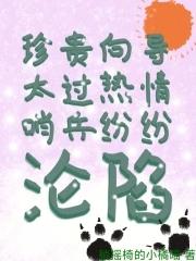 向导和哨兵是什么意思?