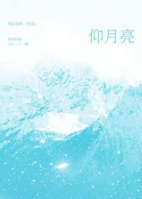仰月亮免费阅读谢澈