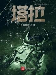 塔拉纳基山