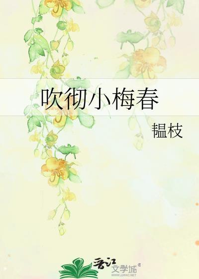 吹彻小梅春韫枝讲的什么