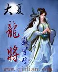 大夏龙将酒