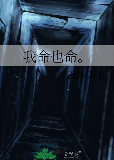 我命也命晋江