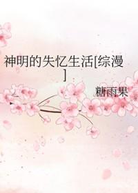 神明失主是什么意思