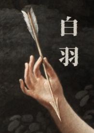 关于白羽的
