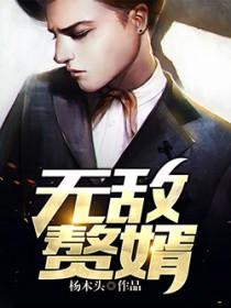 无敌赘婿玚瑷