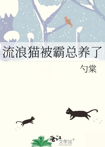 流浪猫被霸总养了TXT免费