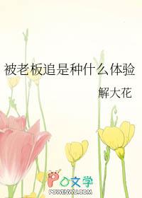 老板追我
