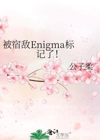 被宿敌Enigma标记了!