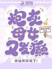 综炮灰的母亲