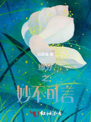 缘分妙不可言短剧