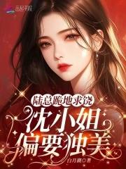 陆沈的