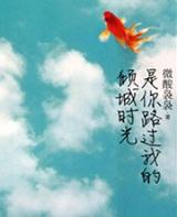 是你路过我的倾城时光什么意思