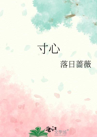 寸心歌词