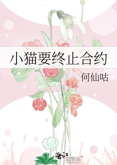 电信套餐终止合约