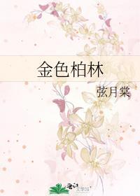 金色柏林宁酒乔柏林免费阅读