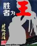 胜者为王第一部国语免费观看