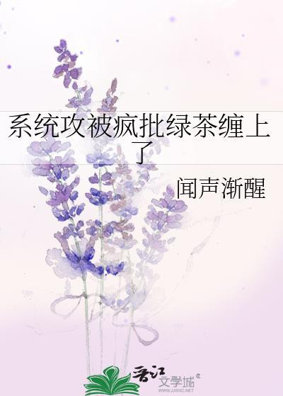 系统被攻破