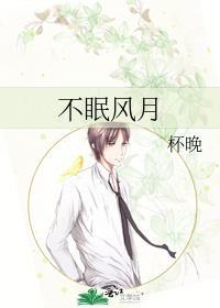 不眠夜什么意思
