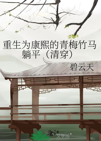 重生为康熙额娘的