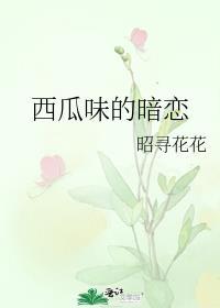 西瓜味的甜品