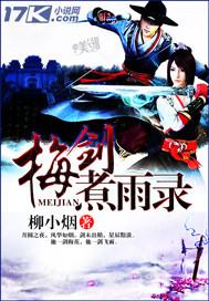 梅剑煮雨录txt