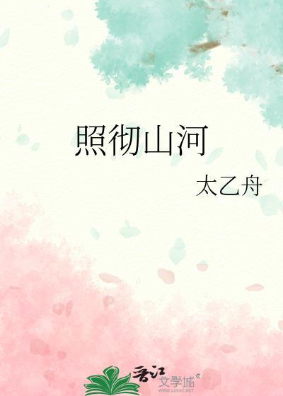照彻山河txt