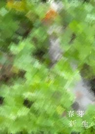 新芽是什么茶