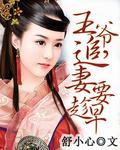 王爷追妻手册